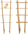 Bamboo Trellis 10 Pack, 16 Inches S2 Natural Bamboo Plant Ladder Stakes, Fan-Shaped Plant Support Stand for Orchid Vines, Monarchs, Ivy and Other Plants Climbing, Help Plant Growth