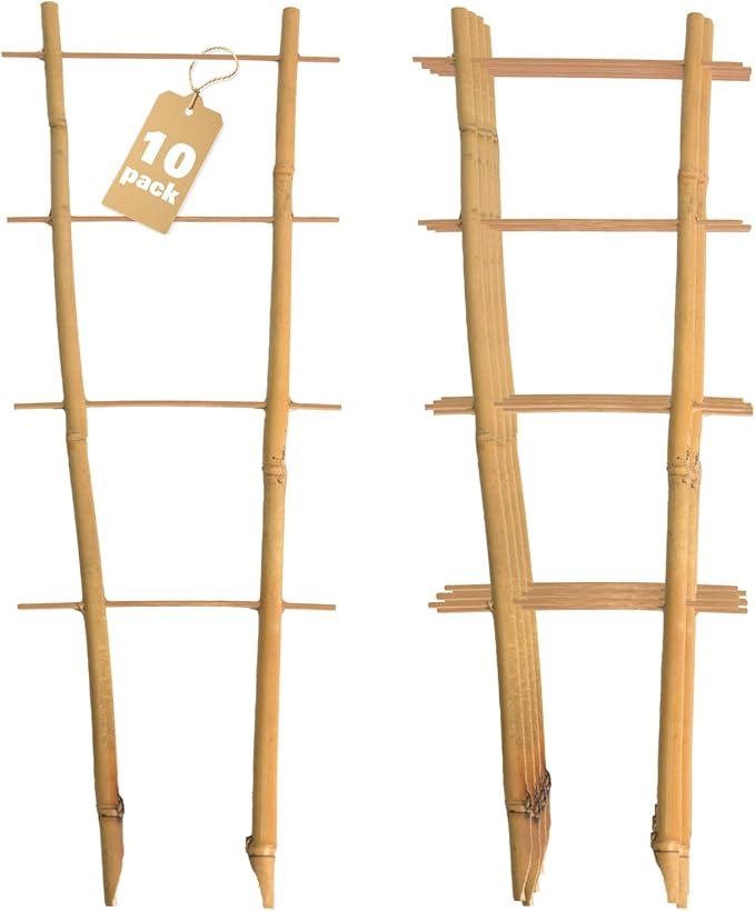 Bamboo Trellis 10 Pack, 16 Inches S2 Natural Bamboo Plant Ladder Stakes, Fan-Shaped Plant Support Stand for Orchid Vines, Monarchs, Ivy and Other Plants Climbing, Help Plant Growth