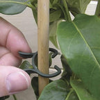 KINGLAKE 150 Pcs Plant Garden Clips,Flower,Vine & Vegetable Plant Support Clips Great for Holding Plant Stems