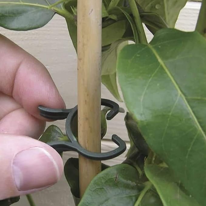KINGLAKE 150 Pcs Plant Garden Clips,Flower,Vine & Vegetable Plant Support Clips Great for Holding Plant Stems
