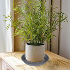 VUWEZ 6 Pack of 22 inch Plant Saucer, Plant Tray 22 Inch Round, Plant Saucers for Indoors, Plant Trays for Pots, Flower Pot Saucers, Pot Saucers for Planter 17-23" (22", Gray)