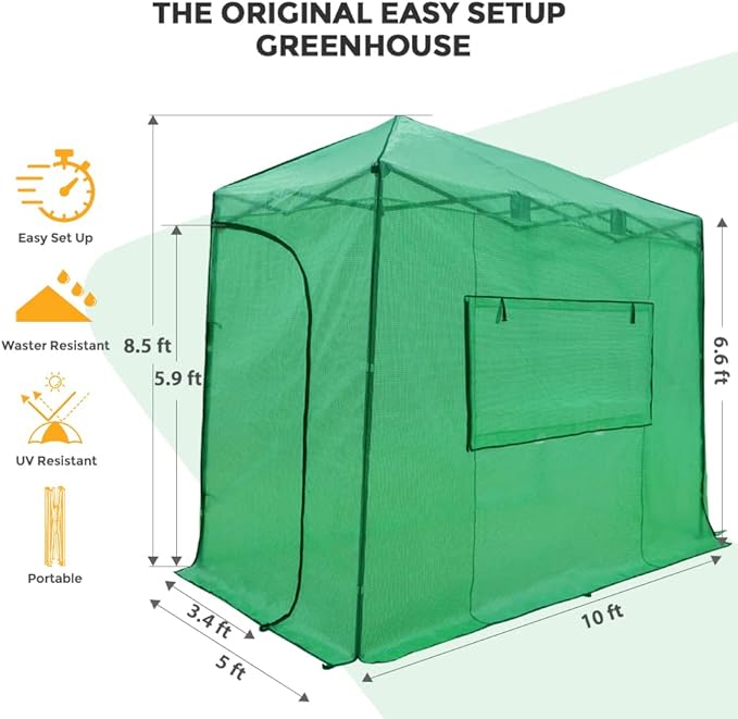 EAGLE PEAK 10x5 Portable Walk in Greenhouse, Pop Up Indoor Outdoor Greenhouse, Green House Kit with Zippered Roll-Up Doors and Windows, Lean-to Design, PE Cover, Clear/Green