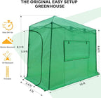 EAGLE PEAK 10x5 Portable Walk in Greenhouse, Pop Up Indoor Outdoor Greenhouse, Green House Kit with Zippered Roll-Up Doors and Windows, Lean-to Design, PE Cover, Clear/Green