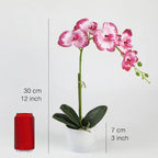 Artificial Orchid Flowers in Pot, 12" Real Touch Phalaenopsis Faux Orchid Plant with Fake Moss, Small Artificial Flowers Arrangement for Home Decor Indoor, Bathroom, Office Table C (Rose Red)