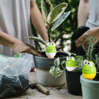 Terracotta Self Watering Spikes, 4 Pack Plant Watering Globes Automatic Plant Waterer Devices Continuous Moisture with Slow Release Watering System for Vacation Indoor Outdoor Plants (Frog)