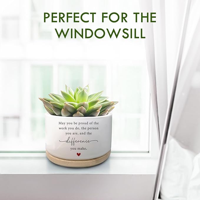 Funny Succulent Plant Pot, Cactus Flower Planter Gifts, Thank You Gifts for Coworker, Farewell Going Away Appreciation Inspirational Gifts for Women Men Boss Manager Coworkers (No Plants)