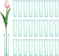 MECCANIXITY 110 Pcs Floral Water Tubes, 3 Inch Clear Flower Water Tubes Floral Vials with Plastic Caps for Fresh Flowers Arrangement Decor Milkweed Cutting Florist Supplies, Green