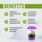 Venus Fly Trap Live Plant with 4.5" Purple Terrarium + Carnivorous Plants Food Bundle with Feeding Tweezers - Carnivorous Plant Soil and Live Venus Flytrap