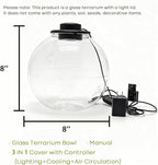 Desktop Glass Terrarium Bowl with Grow Light Adjustable(H:8" D:8"), for Succulent, Moss, Miniature Gardening Landscape, Betta Fish Tank, Indoor Plant Growth, Office Home Decoration, Lovers Gifts