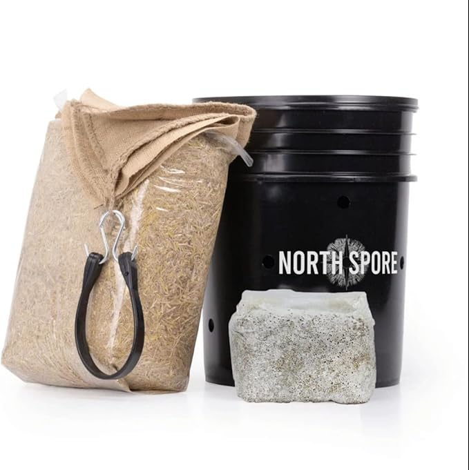 North Spore 'MushBucket' Blue Oyster Mushroom Bucket Grow Kit | Grow Mushrooms | Organic Mushroom Grow Kit