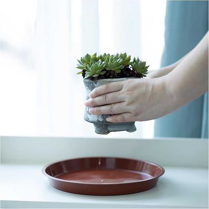 6pcs Terracotta Plastic Plant Saucers (8 inch) - Heavy Duty Indoor Plant Trays for Pots with Water Drainage, Drip Catcher & Decor (Set of 6 Round Saucers)