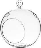 WGV Hanging Terrarium Globe, Width 6", Height 6.5", DIY Air Succulent Planter, Clear Glass Vase Orb with Flat Bottom, Candle Holder for Windowsill Outdoor Garden Decor, 1 Piece