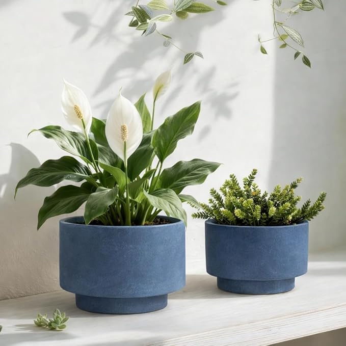 Succulent Pots, 8 Inch + 6 Inch Plant Pots for Plants with Drainage Hole, Indoor Outdoor Ceramic Planter, Set of 2 Round Flower Pots for Succulent and Plants, Blue
