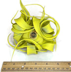 XL Xerographica Colored Air Plant, Live Tillandsia House Plant, Easy Care Indoor Outdoor, Great Gift, Healthy Arrival Guaranteed (Yellow)