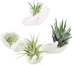 4 Pack Air Plant Holders Unique Ceramic Mini Airplants Stand Tillandsia Succulent Display Container Pot Cute Home Decor for Desk Table Shelf Window, White