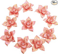 10 PCS 3D Flower Ceramic Tiles,1.6" Handmade Procelain Ceramic Flowers for Artwork,Fish Tank,Vases,Living Room, Dining Table,Office, Home Floral Decor (Double-Flowered Iridescent Light Orange)