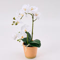 Avoeco Artificial Real Touch Orchid Plant – 15" Faux Phalaenopsis in Pot – Highly Realistic Silk Orchid Flower & Leaf Texture for Home, Office,Shop & Wedding Décor (1 White, 15“)