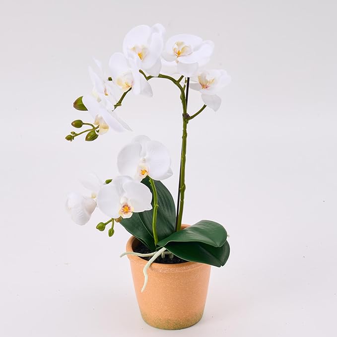 Avoeco Artificial Real Touch Orchid Plant – 15" Faux Phalaenopsis in Pot – Highly Realistic Silk Orchid Flower & Leaf Texture for Home, Office,Shop & Wedding Décor (1 White, 15“)