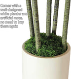 5FT Artificial Dracaena Tree Red: Compact Faux Plant for Apartments, Realistic Greenery in White Planter, Easy-Clean Silk Tree for Small Space, Balcony, Office Gaoqisi