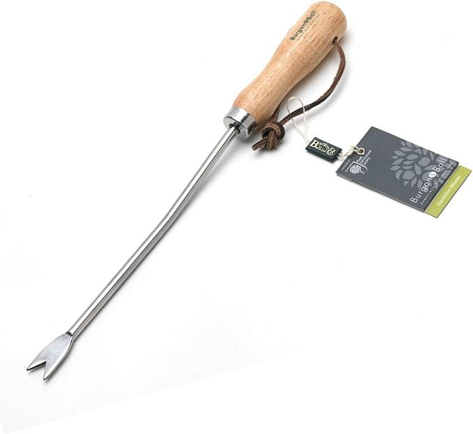 GTH/SDW Burgon and Ball Stainless Dandelion Weeder