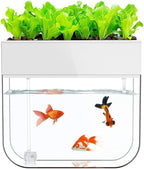 Hydroponic Garden Aquaponic Fish Tank Plants Growing System Self-Cleaning Seed Sprouter Tray