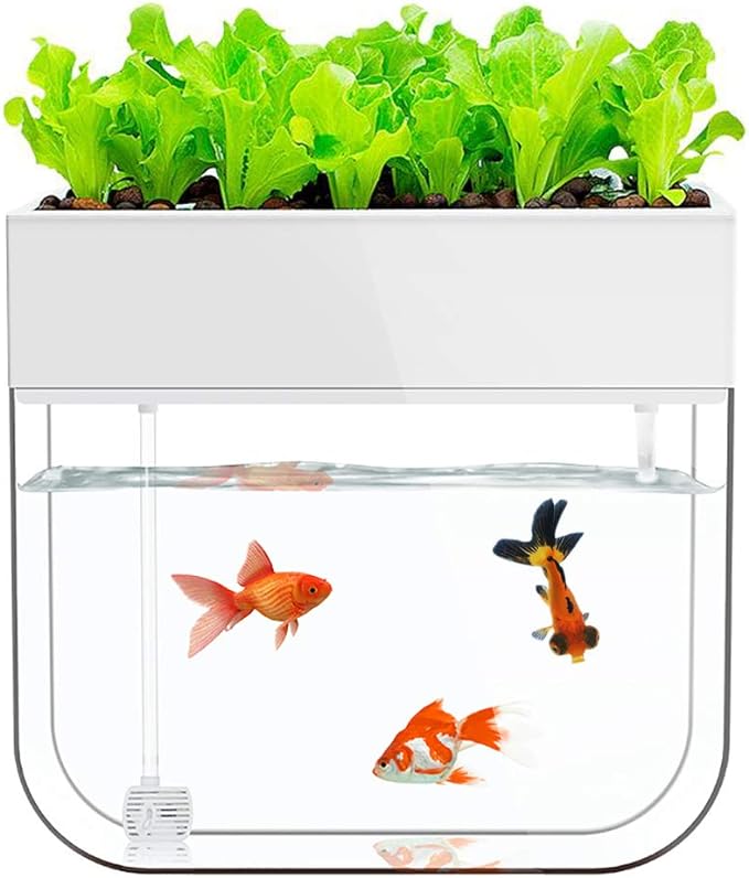 Hydroponic Garden Aquaponic Fish Tank Plants Growing System Self-Cleaning Seed Sprouter Tray