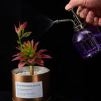 Glass Plant Mister Spray Bottle, Vintage Plant Spritzer Sprayer Mister, Succulent Watering Bottle with Top Pump, Small Glass Watering Can for Indoor Outdoor Houseplant - Purple