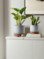 LE TAUCI Ceramic Pots for Plants, 8+6.7+5.5 Inch Plant Pots Indoor, Flower Pot with Drainage Holes, Medium Cylinder Planters for Indoor House Plants, Set of 3, Reactive Glaze White