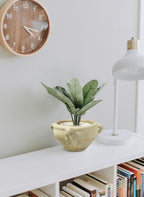 Serene Spaces Living, Antique Terracotta Clay Ceramic Pottery Bowl, 10 Inches x 5 Inches Vintage Decorative Bowls for Plants, Home Decor, and Events