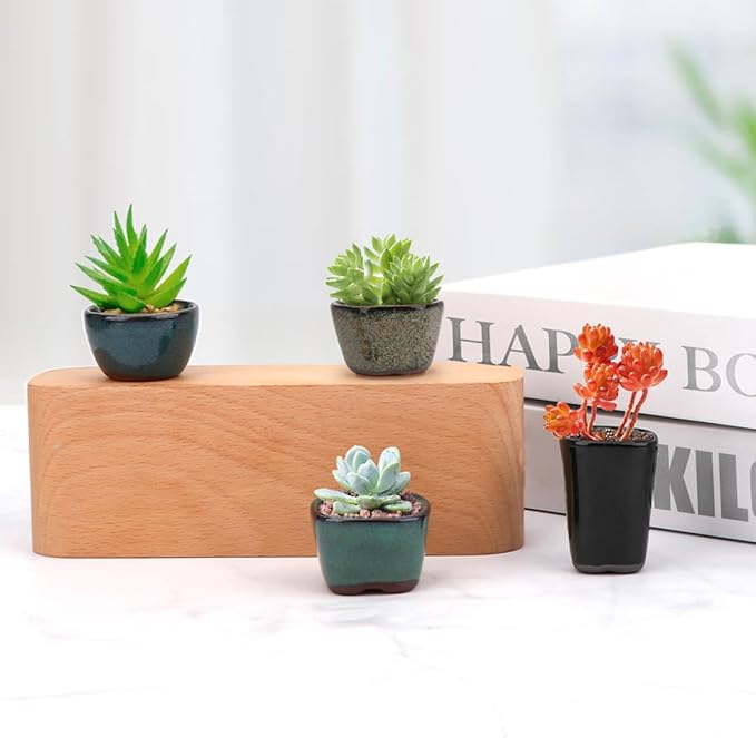 Bonsai Planter 20 pc Mini Glazed Pots Succulent 1.6 Inch