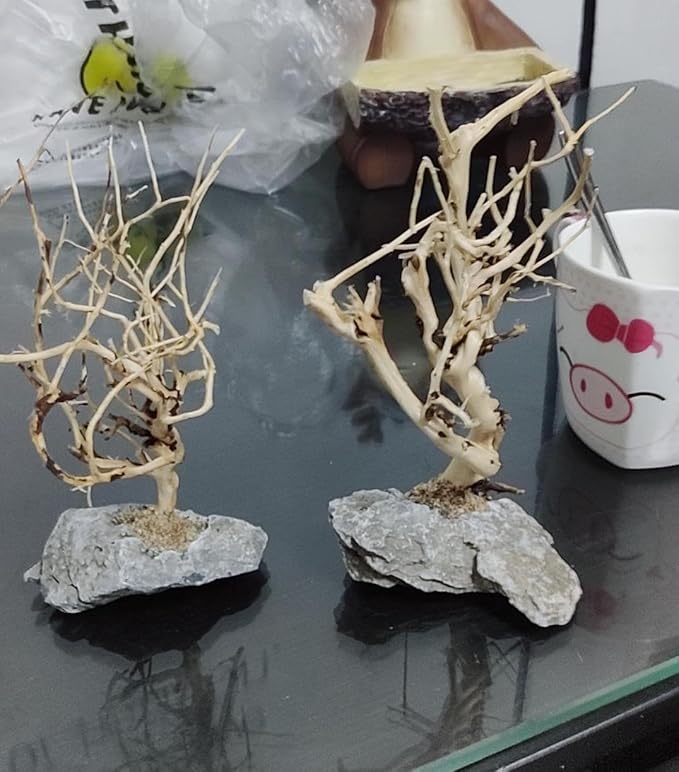 YZHZOM 2pcs Small Bonsai Aquarium Tree,4-6inch,Handmade Aquarium Bonsai Tree Aquarium Decor Tree