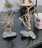 YZHZOM 2pcs Small Bonsai Aquarium Tree,4-6inch,Handmade Aquarium Bonsai Tree Aquarium Decor Tree