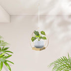 hismocal Hanging Planter for Indoor Plants, Plant Hanger with Sturdy Wood Base,Modern Boho Macrame Plant Hanger,Wall Ceiling Window Stands(Plants/Pots Not Included)