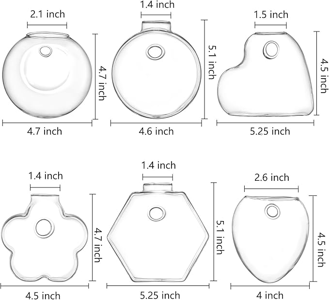yarlung Set of 6 Wall Hanging Planter Terrarium, Clear Glass Plant Vase Wall Mount for Propagating Hydroponics Plant, Indoor Air Plants, Stylish 6 Shapes (Plants Not Included)