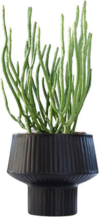 Wide Top Modern Handmade Metal Indoor Planter with Unique Shape, Vertical Grooved Design and Anti-Scratch Pads, Rust-Resistant Finish that is Sustainable Non-Plastic Pot Recyclable Metal Vase (Black)