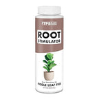 Root Stimulator for Fiddle Leaf Fig – Liquid Root Supplement with Kelp & Probiotics for Stronger Roots & Better Leaf Growth, 8 oz