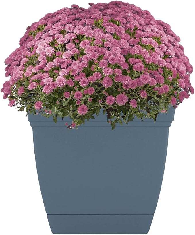 The HC Companies 8 Inch Eclipse Square Planter with Saucer - Indoor Outdoor Plant Pot for Flowers, Vegetables, and Herbs, Slate Blue (Pack of 2)