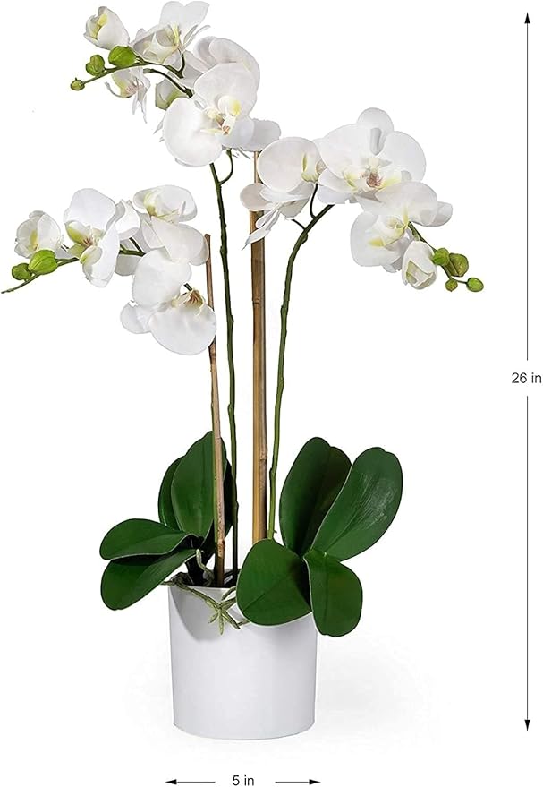 Serene Spaces Living White Realistic Phalaenopsis Orchids in Pot, Artificial Potted Flowers - Beautiful Entryway Vase, Foyer Table Décor, Measures 26" Tall & 5" Diameter, Set of 6