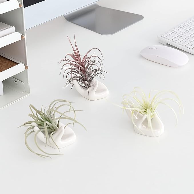 Dahey Mini Air Plant Holder Cute Ceramic Hand Shape Stand Airplants Tillandsia Small Container Pot Plant Decorative Home Decor for Desk Table Shelf, White, 1 Pack (No Plant Included)