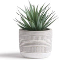 Kurrajong Farmhouse Artificial Plant | 8" Fake Plant for Desk Decor | Artificial Succulent in Pot | Fake Succulent | Faux Plant Indoor | Artificial Greenery for Shelf Decor
