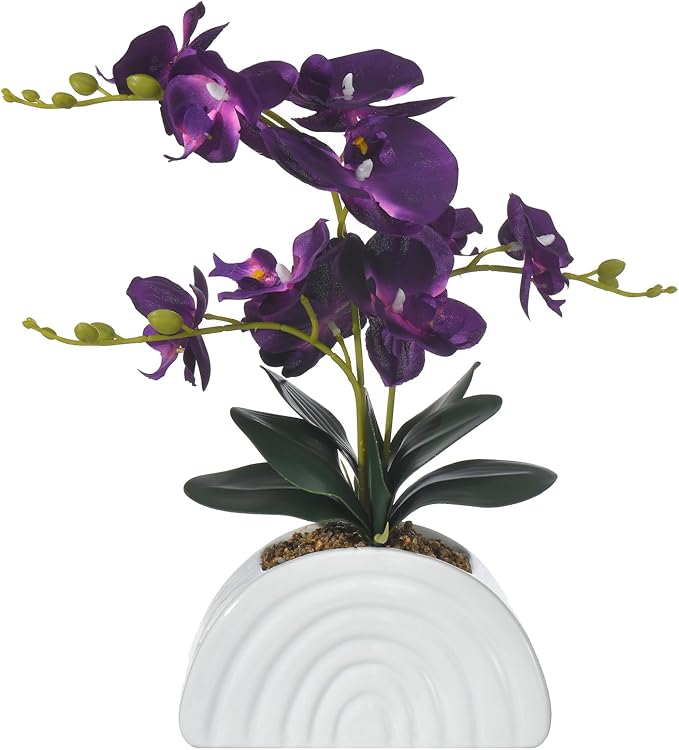 Fake Orchid Plant in White Rainbow Pot, Artificial Silk Phalaenopsis Orchid Flowers for Home Décor, Table Centerpiece, Office Desk (Dark Purple)