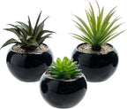MyGift Mini Assorted Artificial Succulents in Round Black Ceramic Pots, Mixed Realistic Indoor House Plants, Set of 3