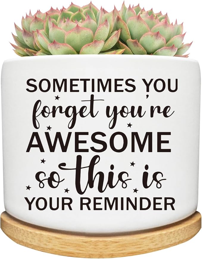 Succulent Cactus Cute Planter Pots with Bamboo Tray, Office Kitchen Home Windowsill Indoor Decor, Gift for Friends Mom Women Coworkers Teachers Plant Lovers