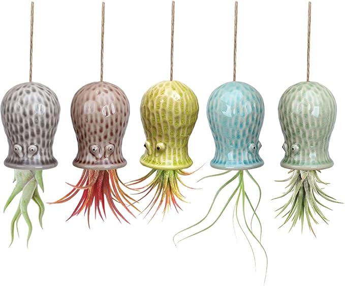 5 Pack Air Plant Holder Unique, Cute Octopus Air Plant Hanger Wall Planter, Ceramic Tillandsia Airplants Holders Hanging Wall Decor for Home Office (Small ( 2 x 3.2 in))