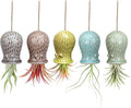 5 Pack Air Plant Holder Unique, Cute Octopus Air Plant Hanger Wall Planter, Ceramic Tillandsia Airplants Holders Hanging Wall Decor for Home Office (Small ( 2 x 3.2 in))