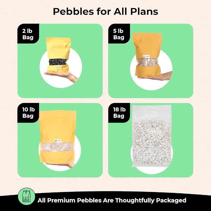 Black Rocks for Plants - Decorative Polished Pebbles 1/2 to 1 Inch 2 lbs. for Garden, Vase Fillers, Succulents, Pots (SM 0.5 to 1 Inch, Polished, 2)