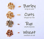 Simple Cat Grass Blend, 100% US Organic, 4 Popular Seeds: Wheat, Barley, Oats, and Rye Mix Combo, Show Your Love with a Healthy Pet Snack Treat (4 Ounce (~3200 Seeds))