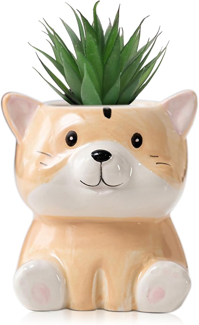 DIYOMR Cute Animals Planter, Mini Ceramic Cartoon Animal Shaped Succulent Flower Pot Indoor Air Plants Holder, Smooth Shiny Decorative Flower Cactus Planter - Plants Not Included (Groundhog)