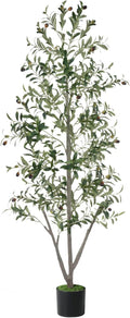 Olive Trees Artificial Indoor, 6FT Tall Faux Olive Tree with Light Kit Moss and Planter, Faux Plants Indoor with Natural Wood Trunk and Lifelike Fruits, Fake Tree for Home Office Living Room Decor