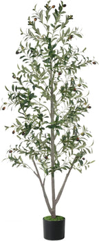 Olive Trees Artificial Indoor, 6FT Tall Faux Olive Tree with Light Kit Moss and Planter, Faux Plants Indoor with Natural Wood Trunk and Lifelike Fruits, Fake Tree for Home Office Living Room Decor